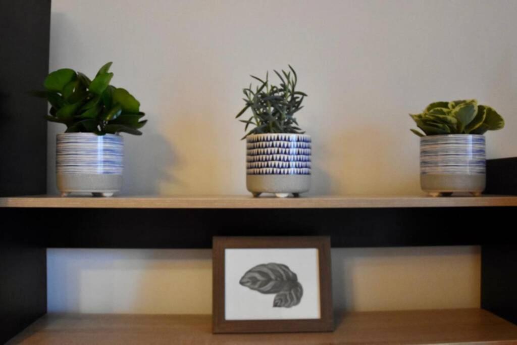 Pricop Residence バイア·マーレ エクステリア 写真